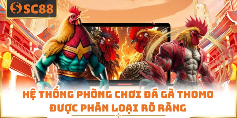Hệ thống phòng chơi đá gà Thomo được phân loại rõ ràng