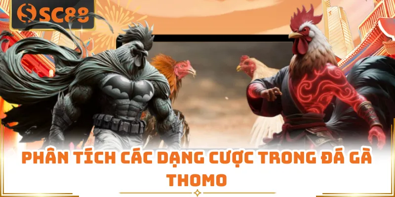 Phân tích các dạng cược trong đá gà Thomo